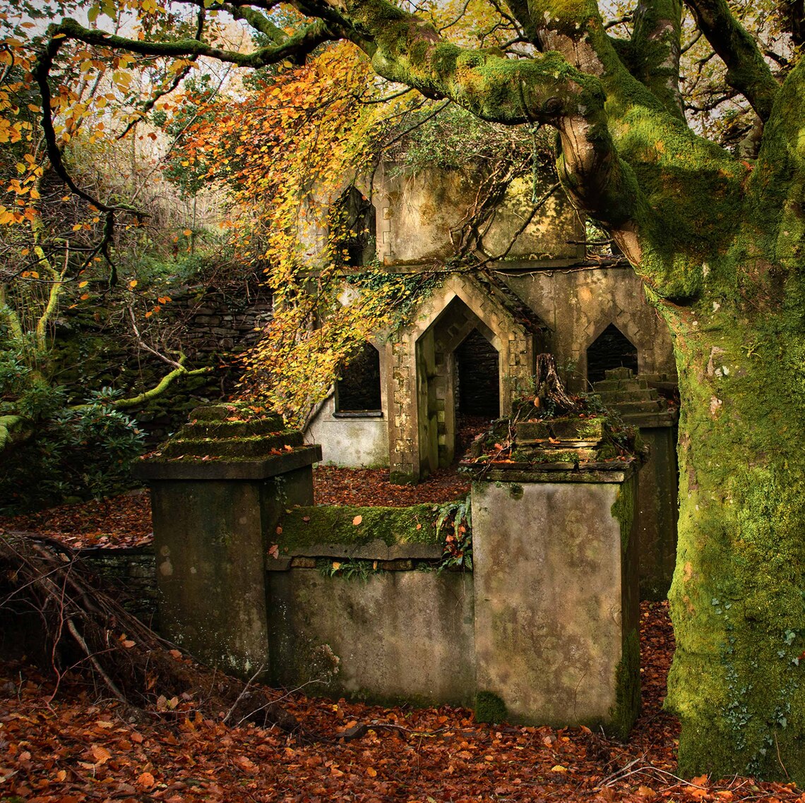Back to nature ~ Sue Hoggarth