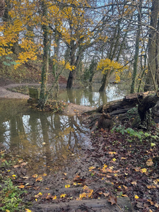 07 Bring your wellies - as