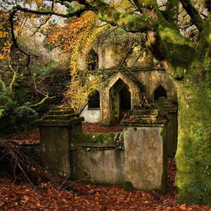 Back to nature Sue Hoggarth