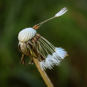 Countdown to lift-off Jackie Ayres